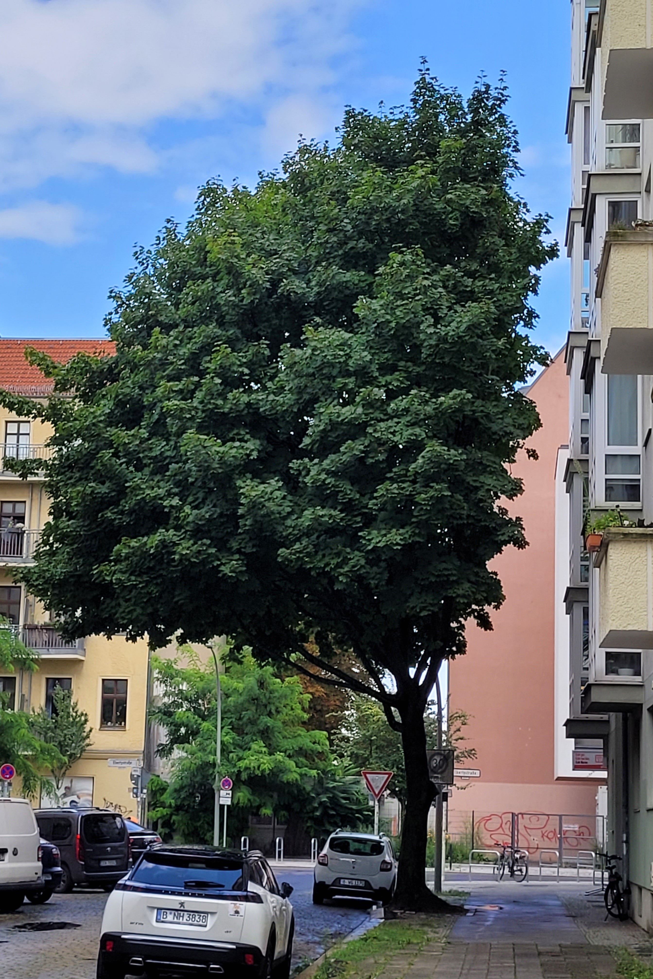 Assoziationen